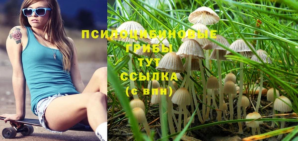 бошки Балахна