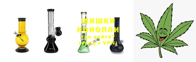 бошки Балахна