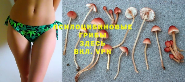 бошки Балахна